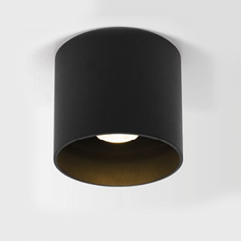 Светильник накладной Wever Ducre Ray 1.0 LED, черный                                                